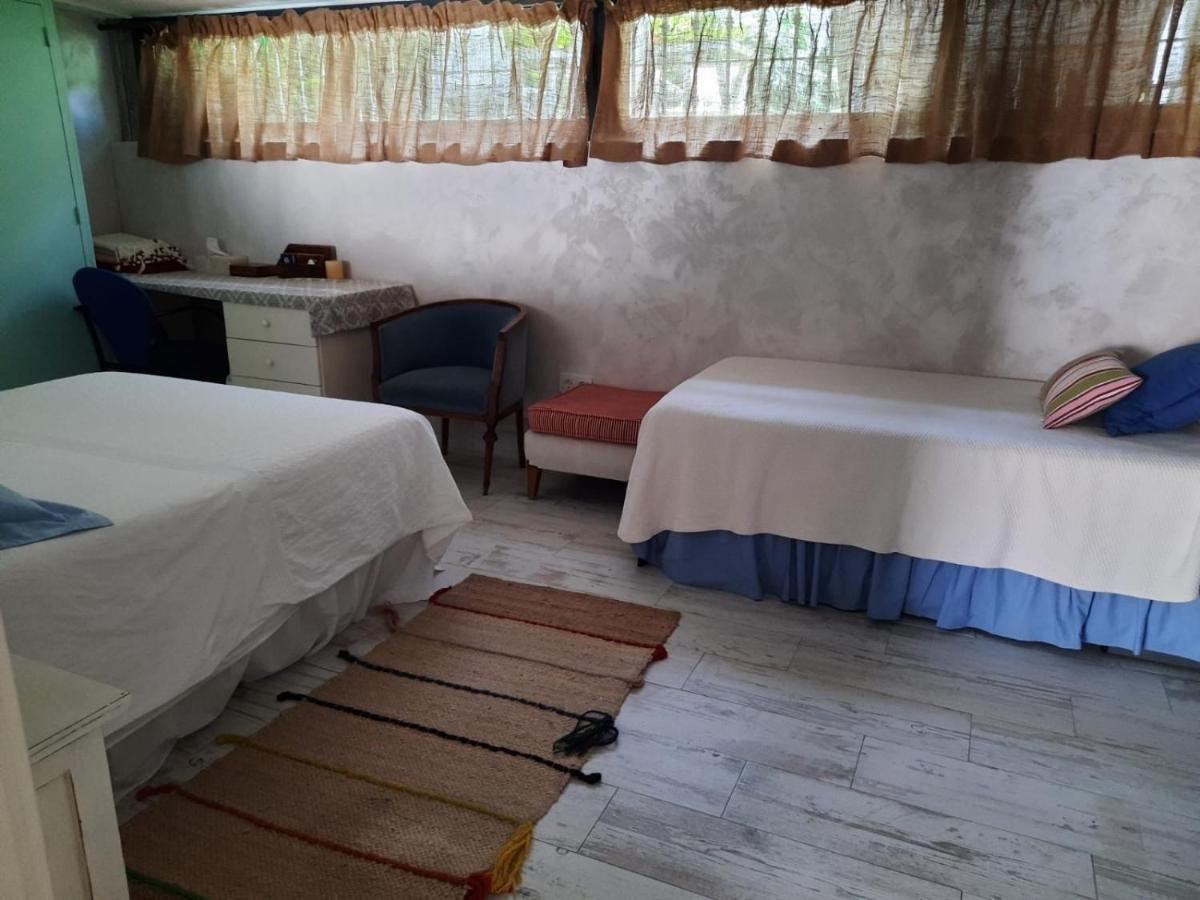 Un Apartamento Vacacional Con Detalles De Un Hogar Mairena del Aljarafe Dış mekan fotoğraf